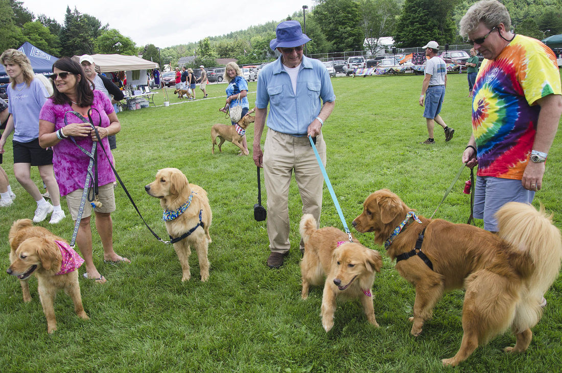 062215-nws-woofstock02.jpg